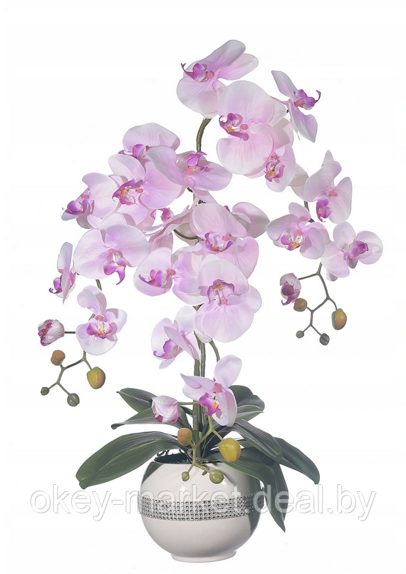 Цветочная композиция из орхидей в горшке R-817, фото 2