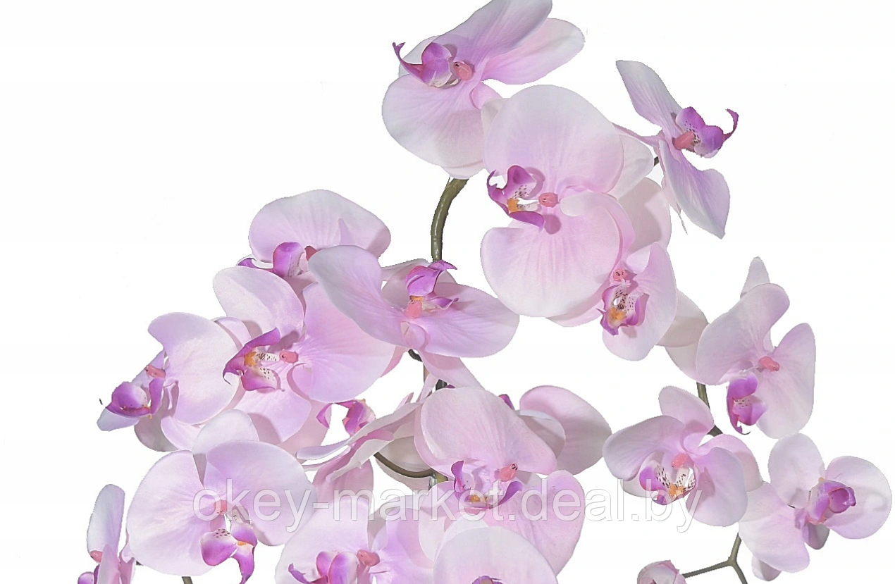 Цветочная композиция из орхидей в горшке R-817 - фото 3 - id-p147155567