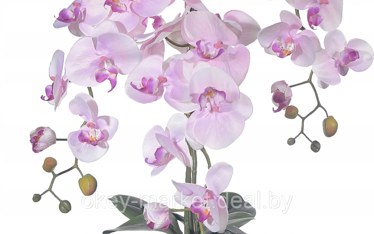 Цветочная композиция из орхидей в горшке R-817 - фото 4 - id-p147155567