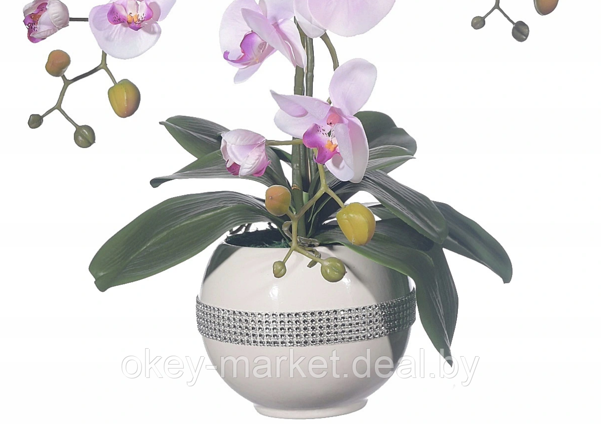 Цветочная композиция из орхидей в горшке R-817 - фото 5 - id-p147155567