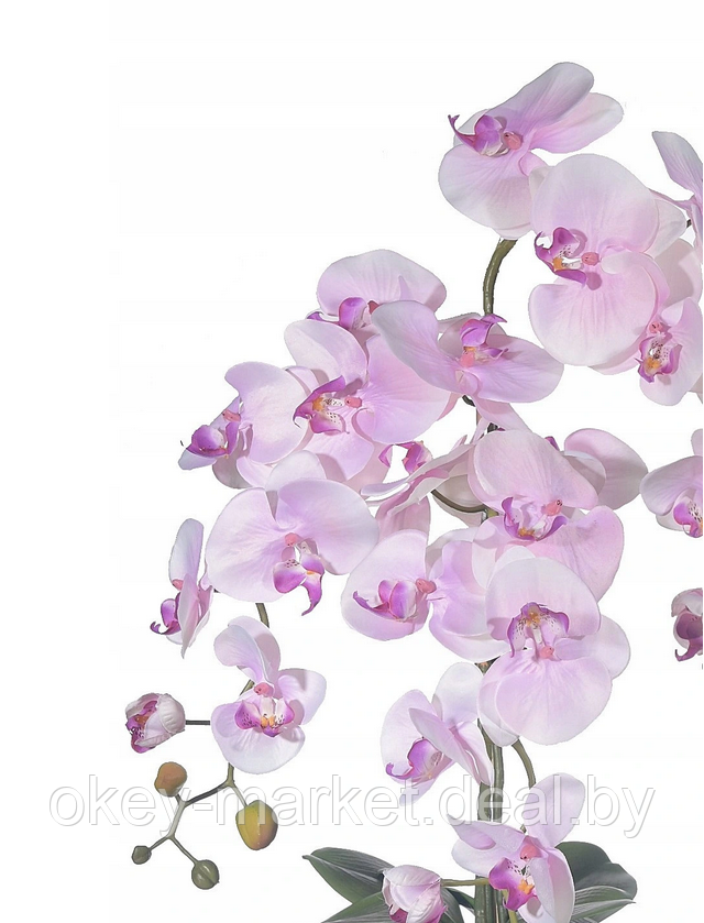 Цветочная композиция из орхидей в горшке R-817 - фото 6 - id-p147155567