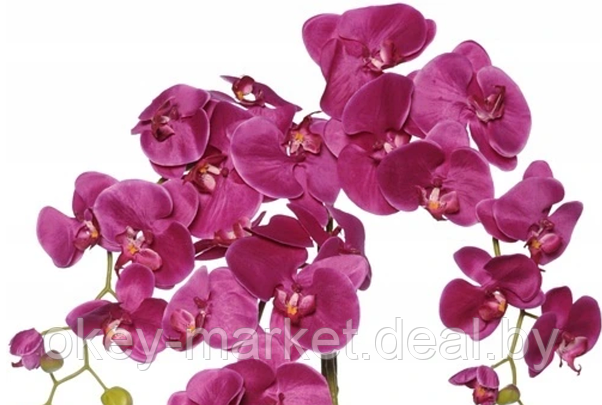 Цветочная композиция из орхидей в горшке R-818, фото 3