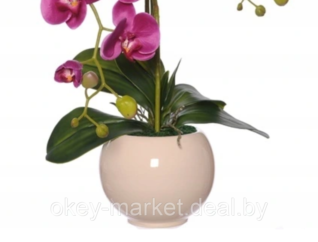 Цветочная композиция из орхидей в горшке R-818 - фото 5 - id-p147155600