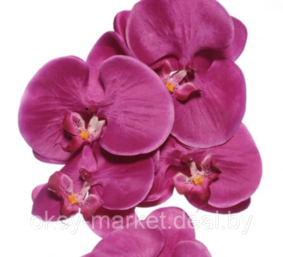 Цветочная композиция из орхидей в горшке R-818 - фото 6 - id-p147155600