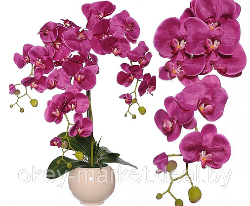 Цветочная композиция из орхидей в горшке R-818, фото 2