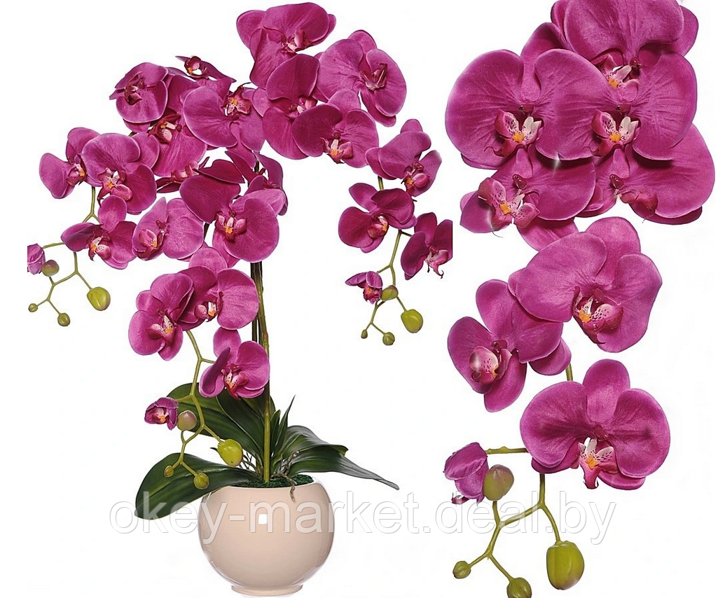Цветочная композиция из орхидей в горшке R-818 - фото 2 - id-p147155600