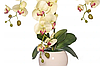 Цветочная композиция из орхидей в горшке R-819, фото 3