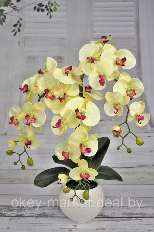 Цветочная композиция из орхидей в горшке R-819 - фото 3 - id-p147155621