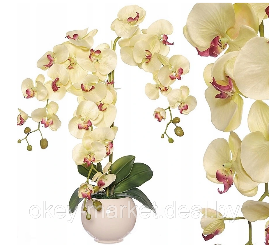 Цветочная композиция из орхидей в горшке R-819 - фото 2 - id-p147155621