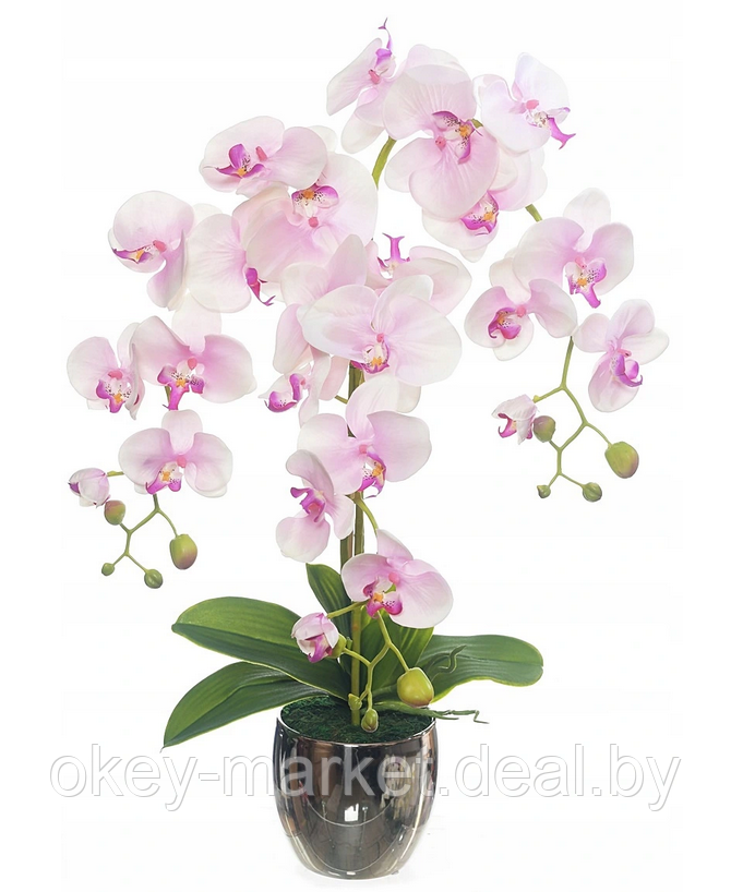 Цветочная композиция из орхидей в горшке R-820 - фото 1 - id-p147155662
