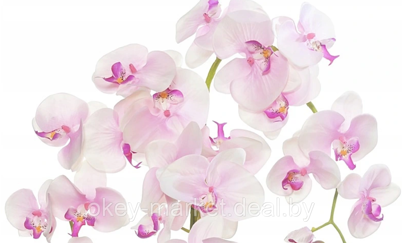 Цветочная композиция из орхидей в горшке R-820 - фото 2 - id-p147155662