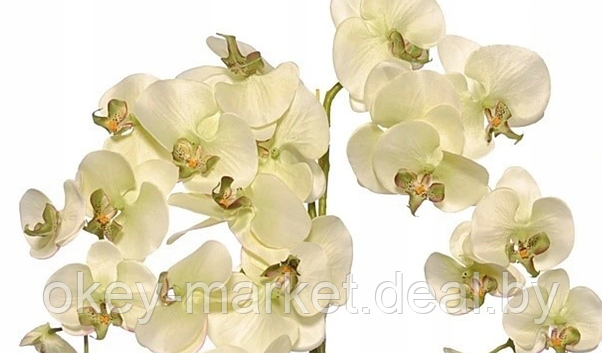 Цветочная композиция из орхидей в горшке R-821, фото 3