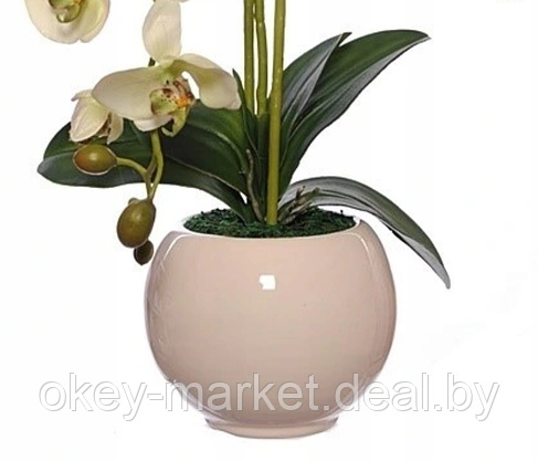 Цветочная композиция из орхидей в горшке R-821, фото 2
