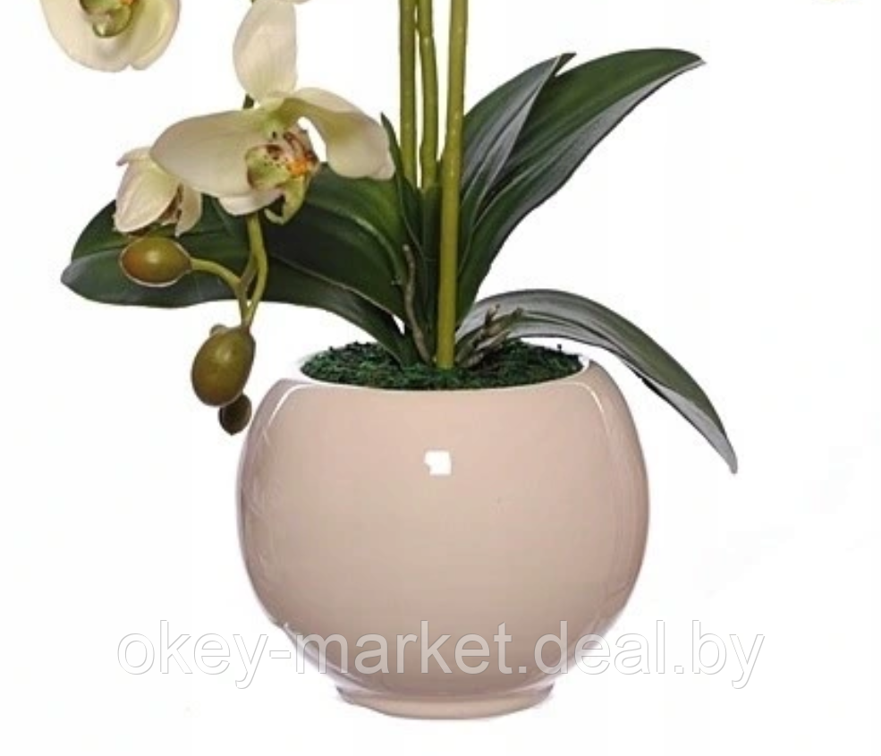 Цветочная композиция из орхидей в горшке R-821 - фото 4 - id-p147155680