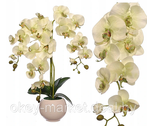 Цветочная композиция из орхидей в горшке R-821, фото 2
