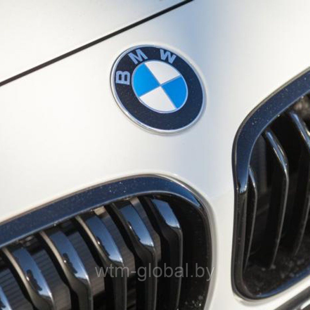 BMW - датчики давления шин - фото 1 - id-p147198302