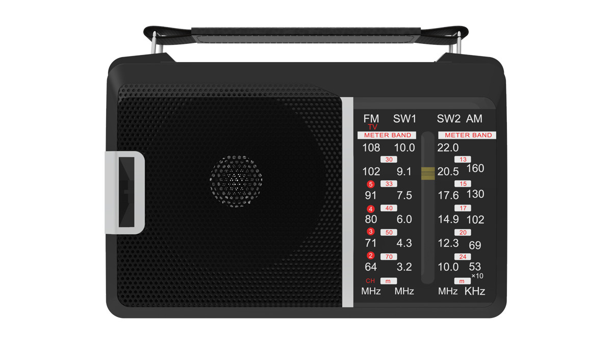 Радиоприёмник Ritmix RPR-190, FM/AM/SW1/SW2, сеть 220В