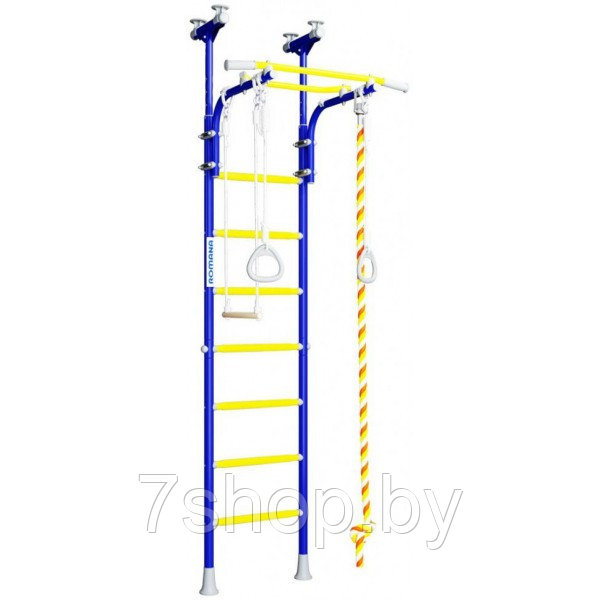 Шведская стенка ДСКМ "Romana R5" (01.20.7.06.490.03.00-24) синяя слива - фото 1 - id-p107980916
