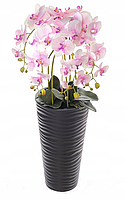 Цветочная композиция из орхидей в горшке 95 см
