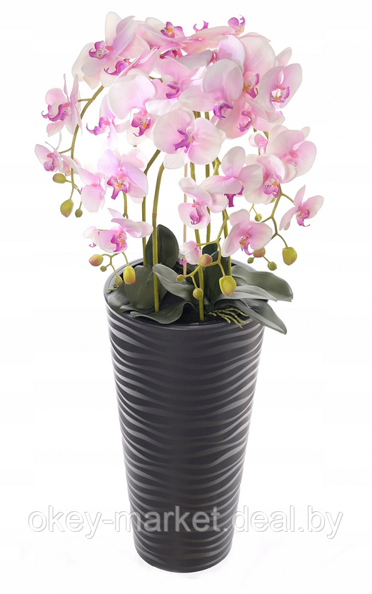 Цветочная композиция из орхидей в горшке 95 см - фото 1 - id-p147299837