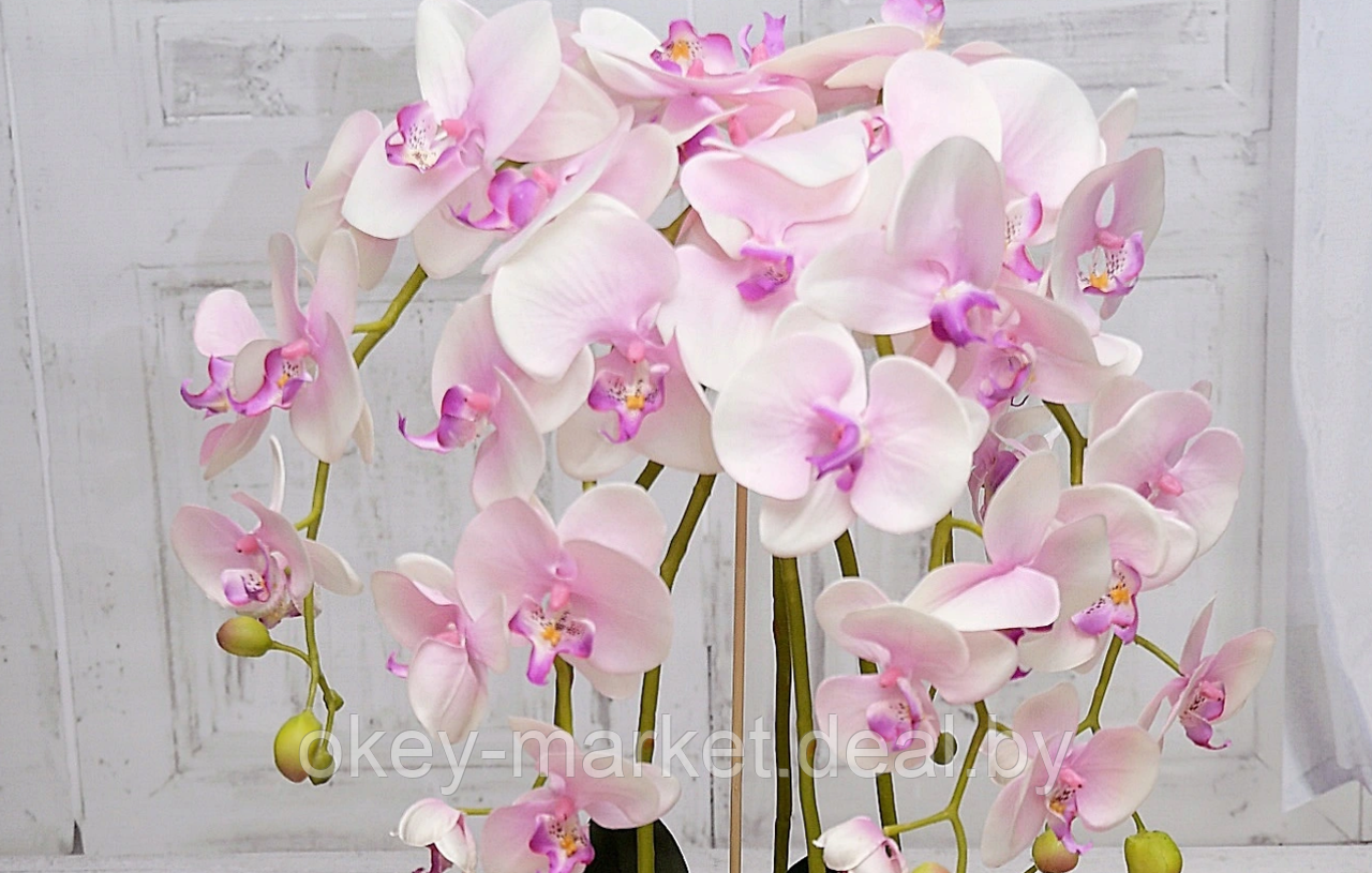 Цветочная композиция из орхидей в горшке 95 см - фото 4 - id-p147299837