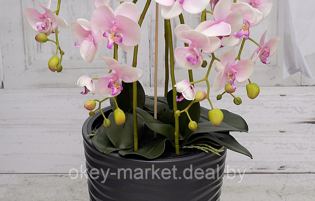 Цветочная композиция из орхидей в горшке 95 см - фото 5 - id-p147299837