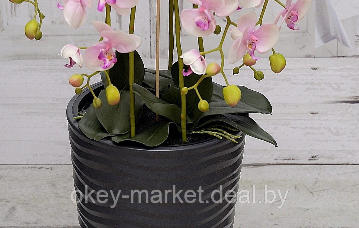 Цветочная композиция из орхидей в горшке 95 см - фото 6 - id-p147299837