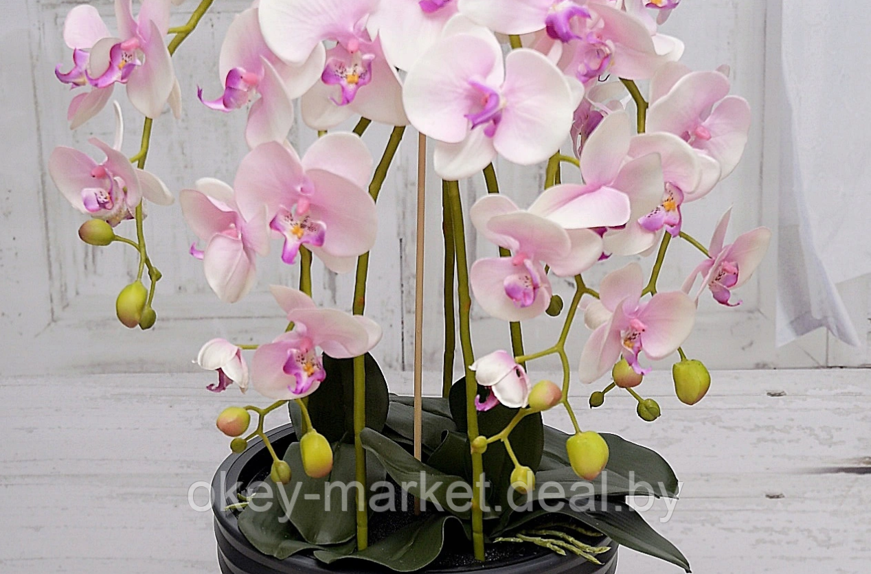 Цветочная композиция из орхидей в горшке 95 см - фото 7 - id-p147299837
