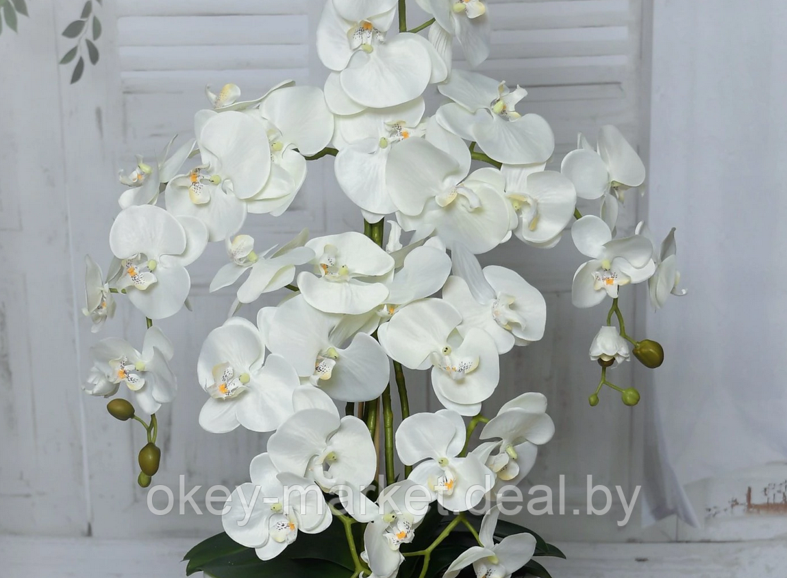 Цветочная композиция из орхидей в горшке 120 см - фото 4 - id-p147299988