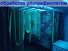Химчистка и мойка ковров с вывозом и доставкой, фото 8