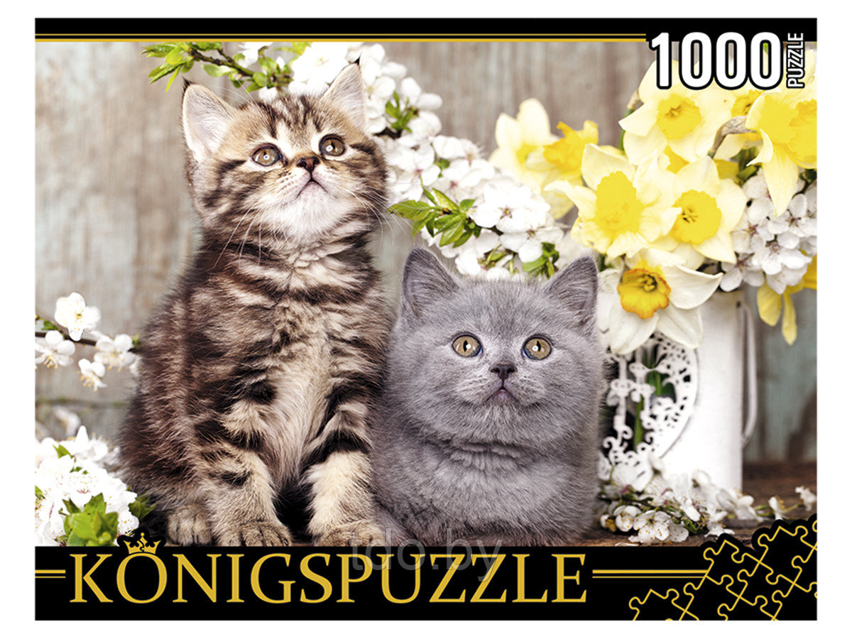 Пазл на 1000 элементов. Котята в весенних цветах - фото 1 - id-p147420294