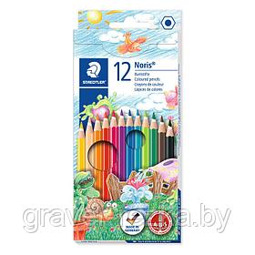 Набор цветных карандашей STAEDTLER Noris Club 144NC-12