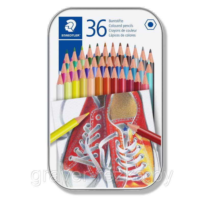 Набор цветных карандашей STAEDTLER 175 M36