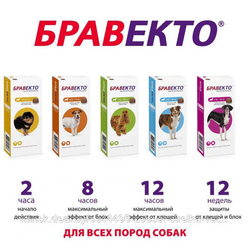 БРАВЕКТО, таблетка от клещей для собак 40-56 кг