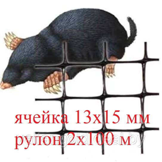 Сетка от кротов 13*15 мм рулон 2 x 100 м 🐭