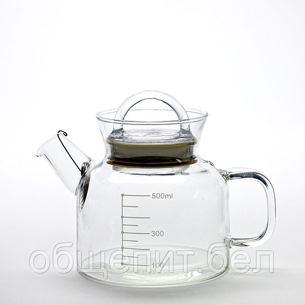 Чайник; стекло; 0,5 л - фото 1 - id-p147490690
