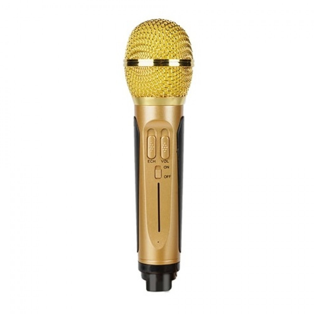 Беспроводная семейная Караоке система SDRD SD-306 с двумя микрофонами золотая - фото 3 - id-p147571775