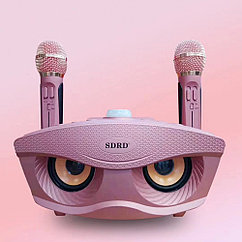 Беспроводная семейная Караоке система SDRD SD-306 с двумя микрофонами розовая