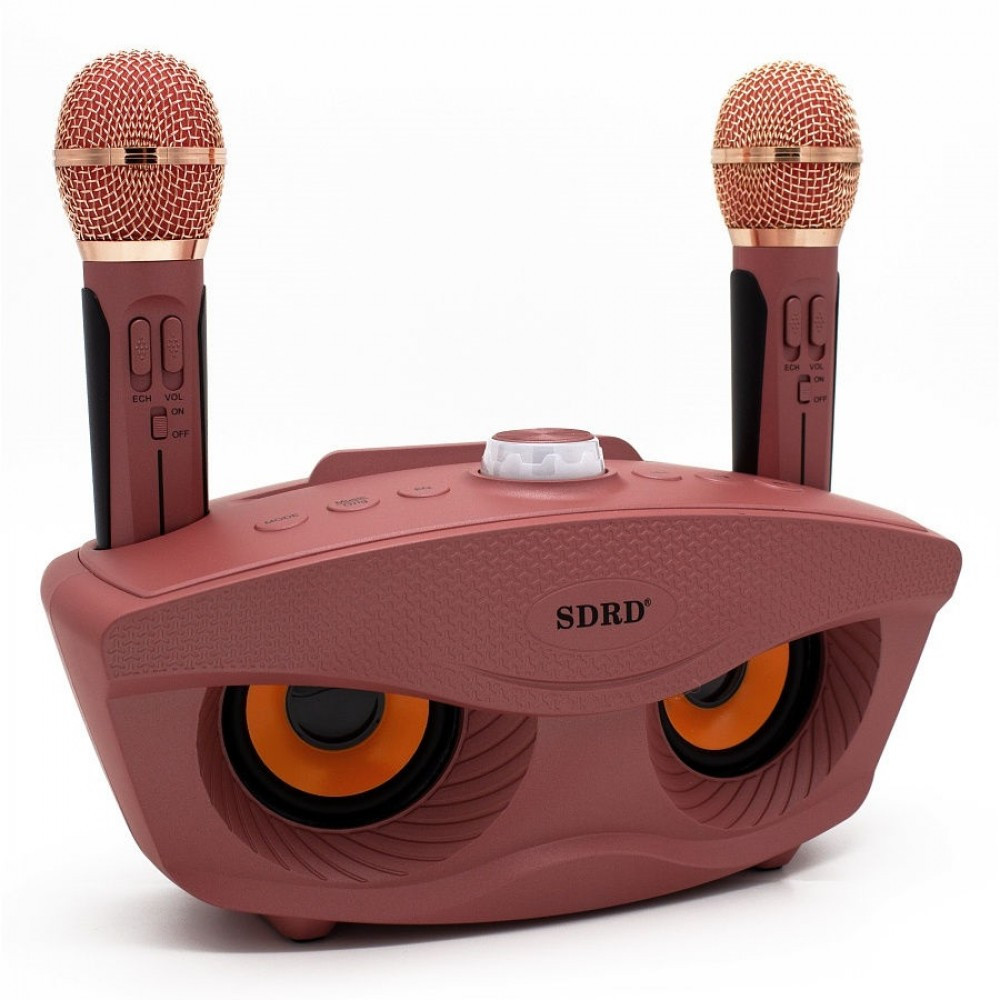 Беспроводная семейная Караоке система SDRD SD-306 с двумя микрофонами розовая - фото 4 - id-p147572001