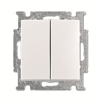 Basic 55 - Переключатель на 2 направления двухклавишный (сл.кость)