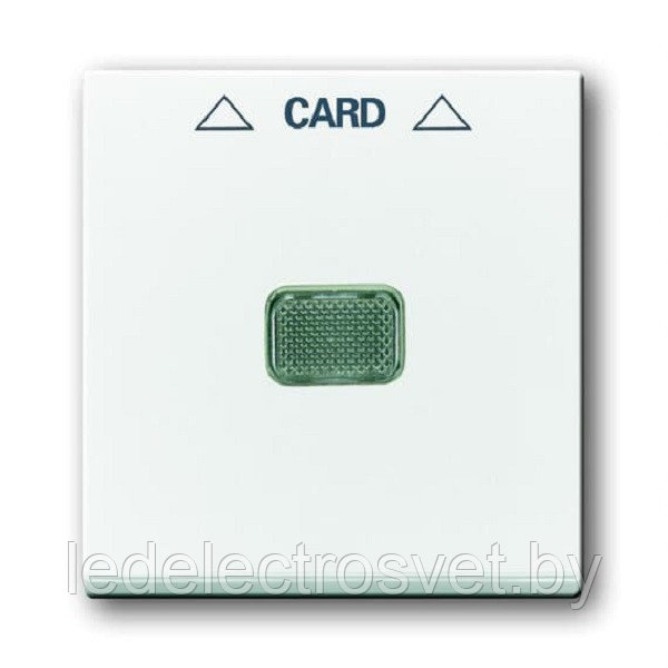 Basic 55 - Лицевая панель для выключателя с ключом-карточкой механизм 2025U (белый) - фото 1 - id-p147172281