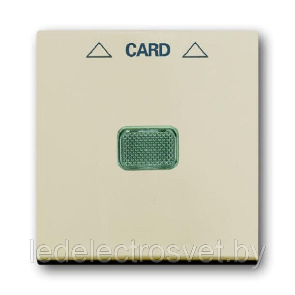 Basic 55 - Лицевая панель для выключателя с ключом-карточкой механизм 2025U (сл.кость)