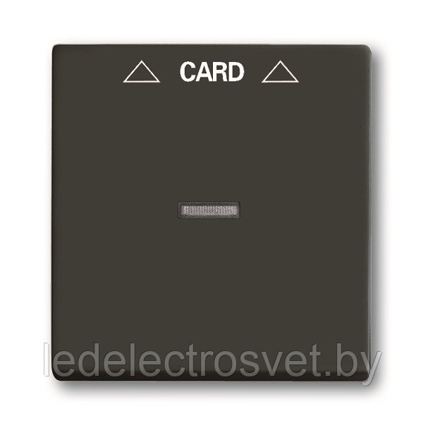 Basic 55 - Лицевая панель для выключателя с ключом-карточкой механизм 2025U (шато-черный)