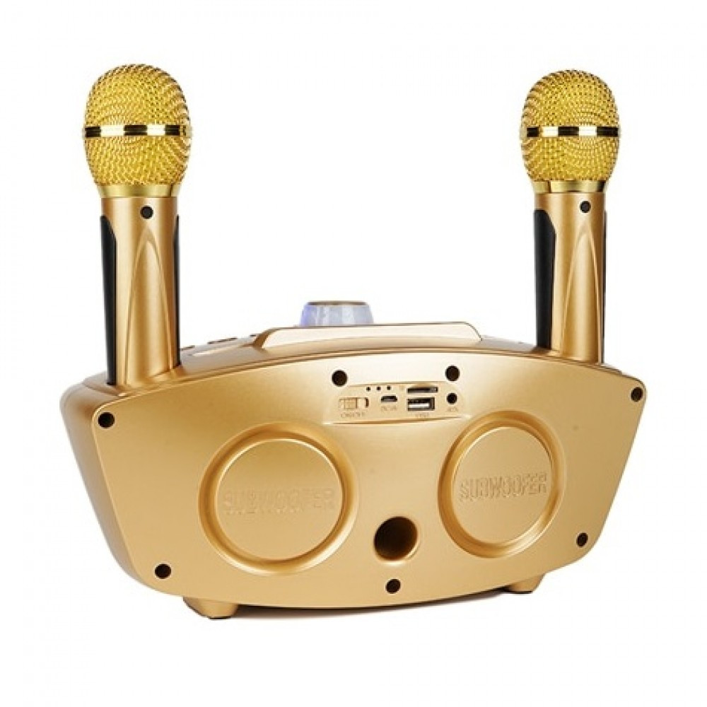 Беспроводная семейная Караоке система SDRD SD-306 с двумя микрофонами золотая - фото 4 - id-p147575128