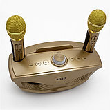 Беспроводная семейная Караоке система SDRD SD-306 с двумя микрофонами золотая, фото 5