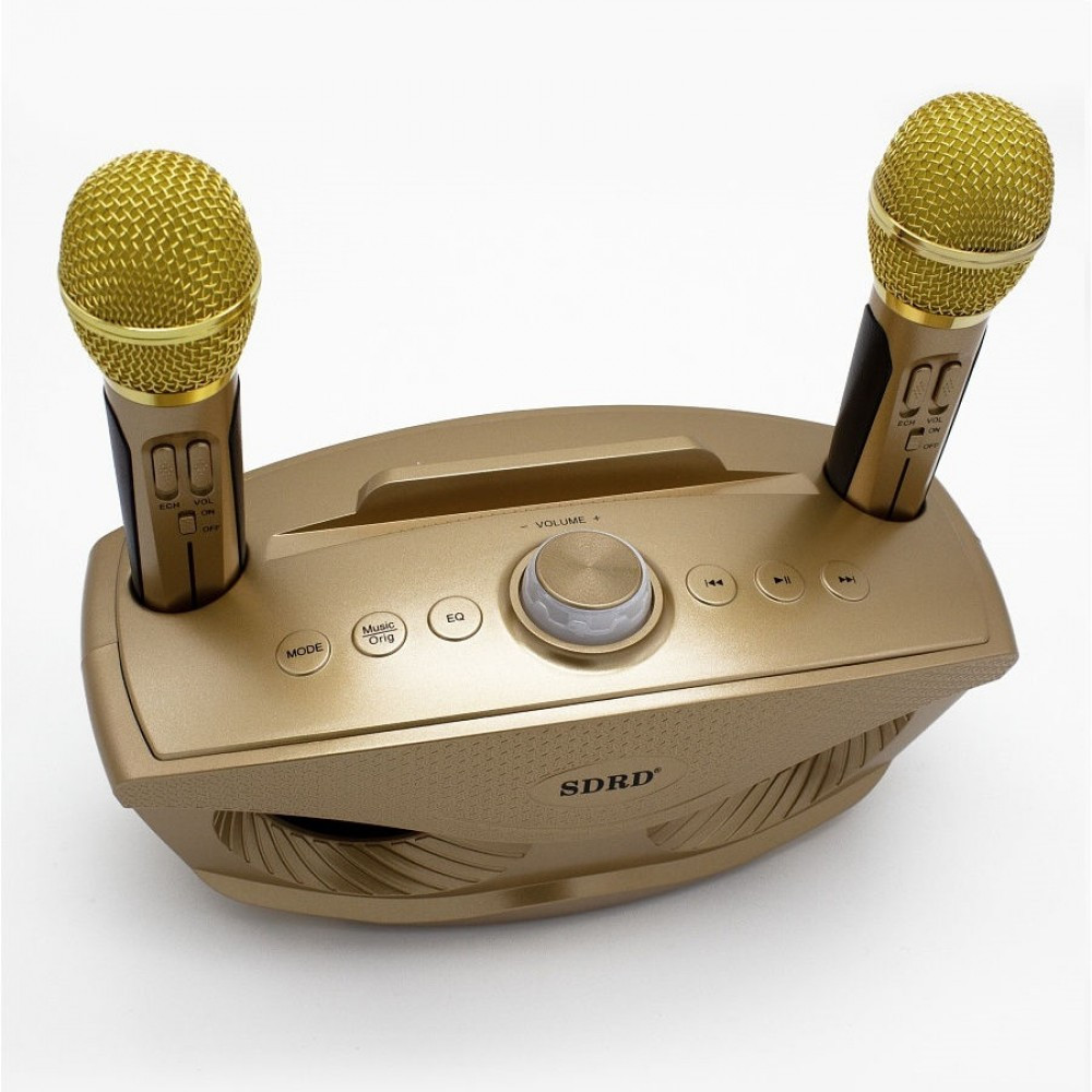 Беспроводная семейная Караоке система SDRD SD-306 с двумя микрофонами золотая - фото 5 - id-p147575128