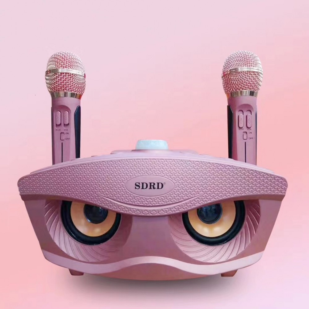 Беспроводная семейная Караоке система SDRD SD-306 с двумя микрофонами розовая, фото 1