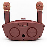 Беспроводная семейная Караоке система SDRD SD-306 с двумя микрофонами розовая, фото 5