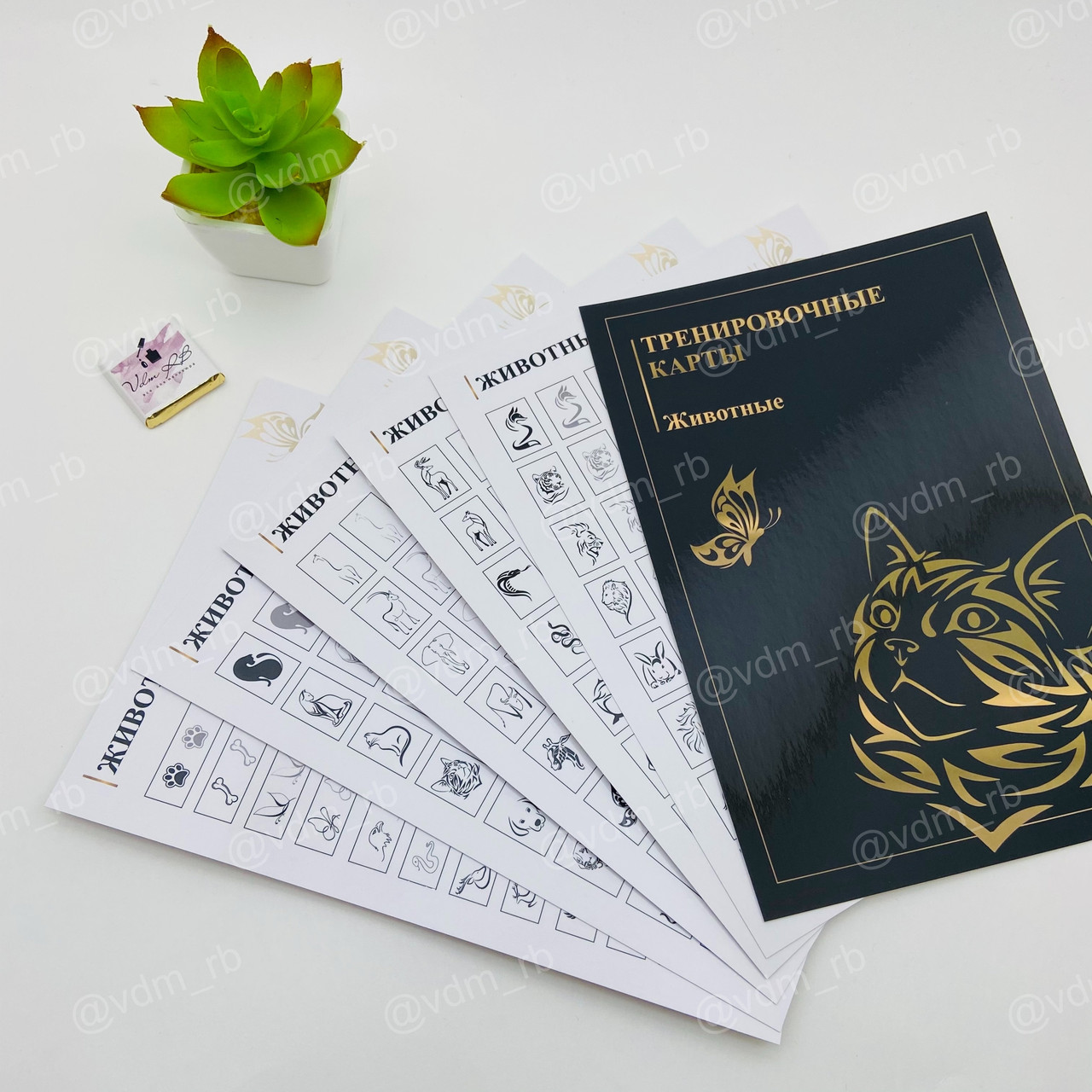 Тренировочные карты "ЖИВОТНЫЕ"