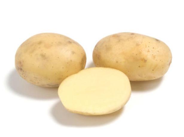 Картофель семенной сорта Коломбо